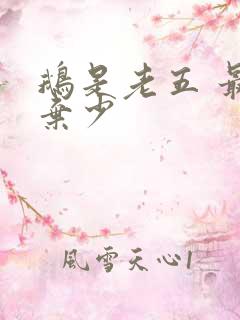 鹅是老五 最强弃少