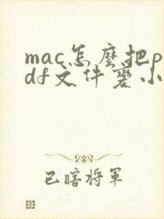 mac怎么把pdf文件变小