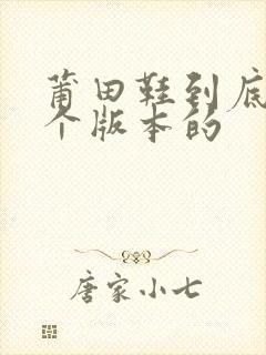 莆田鞋到底买那个版本的