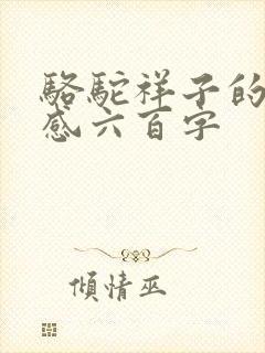 骆驼祥子的读后感六百字