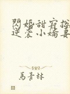 闪婚甜宠总裁的逆袭小娇妻