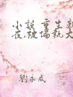 小说 重生新婚夜,被偏执大佬亲疯了