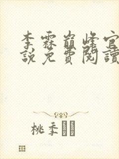 李霖巅峰官场小说免费阅读无弹窗