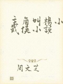 主角叫杨小天的武侠小说