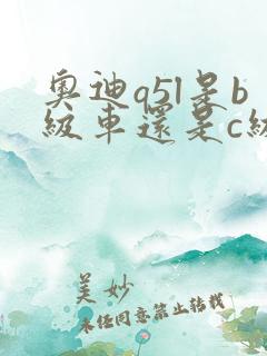 奥迪q5l是b级车还是c级车