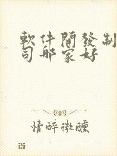 软件开发制作公司哪家好
