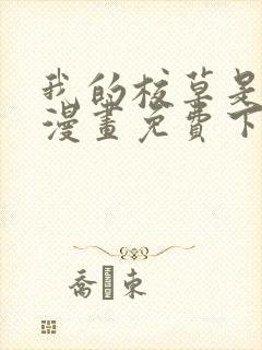 我的校草是球星漫画免费下拉式六漫画