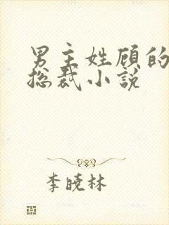 男主姓顾的现代总裁小说