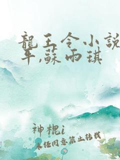 龙王令小说,陈平,苏雨琪