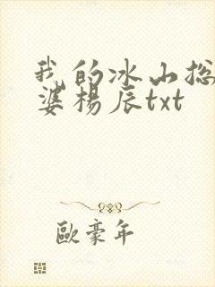我的冰山总裁老婆杨辰txt