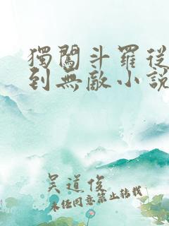 独闯斗罗从穿越到无敌小说免费阅读