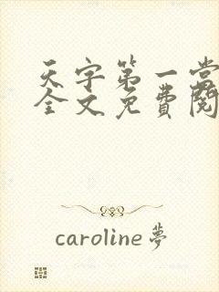 天字第一当小说全文免费阅读