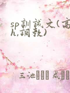 sp训诫文(高h,调教)