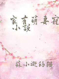 家有萌妻宠上天 小说