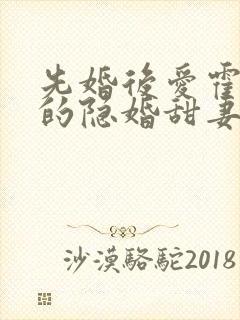 先婚后爱霍先生的隐婚甜妻