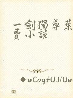 一剑独尊叶玄免费小说