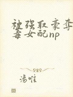 被强取豪夺的恶毒女配np