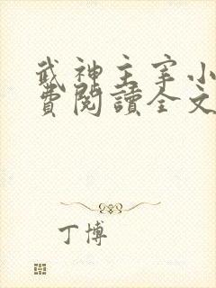 武神主宰小说免费阅读全文