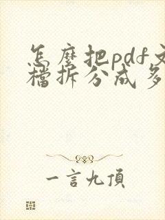 怎么把pdf文档拆分成多个文件