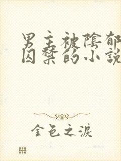 男主被阴郁疯批囚禁的小说