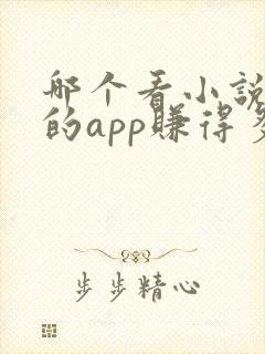 哪个看小说赚钱的app赚得多