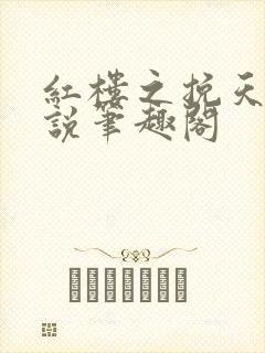 红楼之挽天倾小说笔趣阁