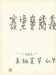 官场巅峰李霖小说免费阅读