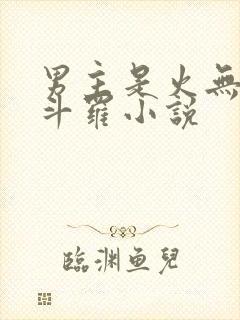 男主是火无双的斗罗小说