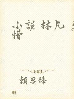 小说 林凡 叶惜