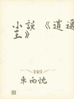 小说 《逍遥兵王》