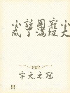 小说团宠小可爱成了满级大佬在线阅读