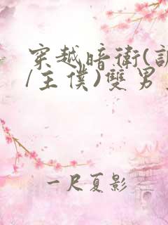 穿越暗卫(训诫/主仆)双男主小说