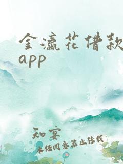 金瀛花借款下载app