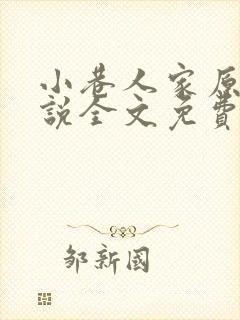 小巷人家原著小说全文免费阅读
