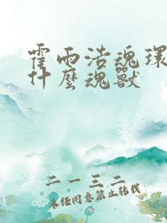 霍雨浩魂环都是什么魂兽
