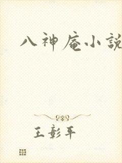 八神庵小说下载