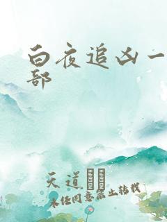白夜追凶一共几部