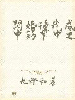 闪婚后我成大佬中的掌中之物