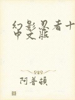 幻影忍者十七季中文版