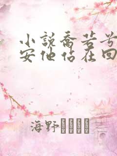 小说乔若兮沈辞安他站在回忆尽头在线阅读
