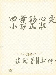 四爷的心尖宠妃小说正版