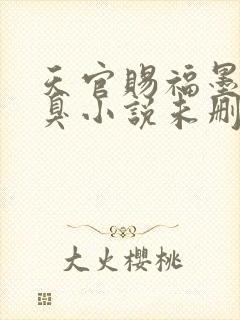 天官赐福墨香铜臭小说未删版全文