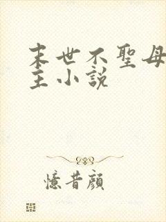末世不圣母无女主小说