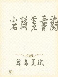 小说李兵沈思顽石网免费阅读