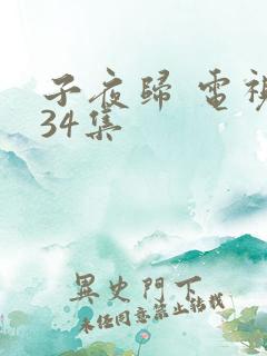 子夜归 电视剧34集