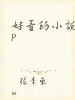 好看的小说app