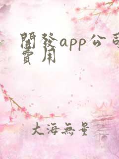 开发app公司费用