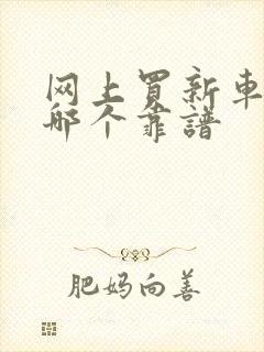 网上买新车平台哪个靠谱