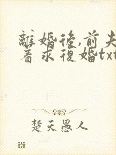 离婚后,前夫哭着求复婚txt
