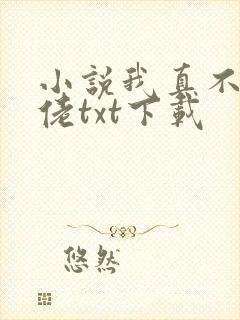 小说我真不是大佬txt下载